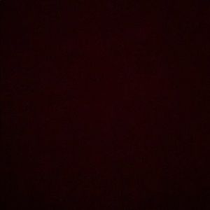 Meet your Posher, Carmyn